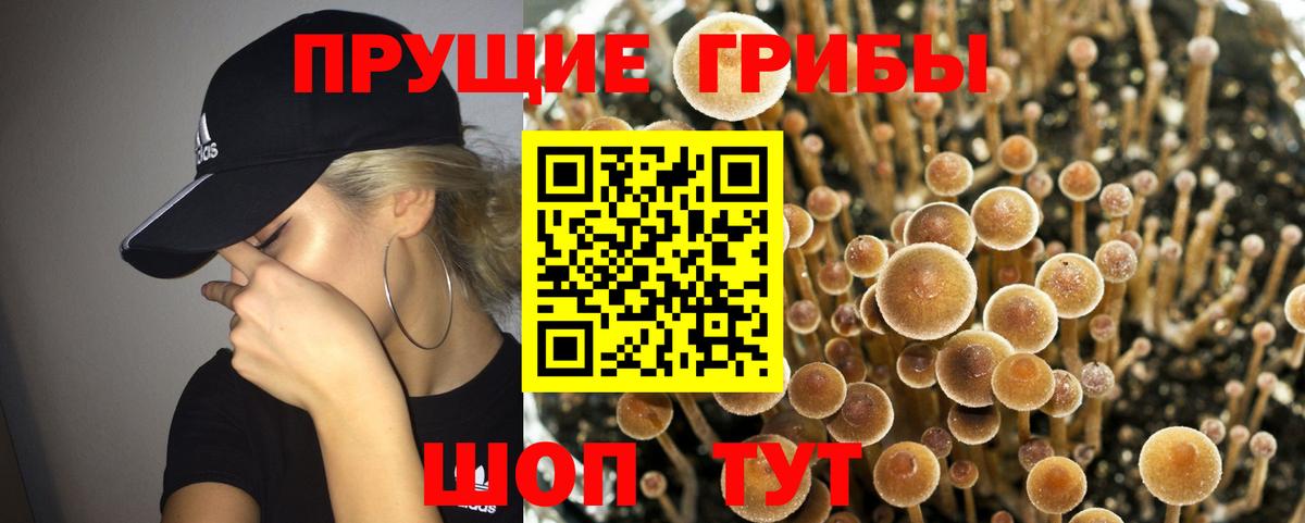 Псилоцибиновые грибы ЛСД Озёры