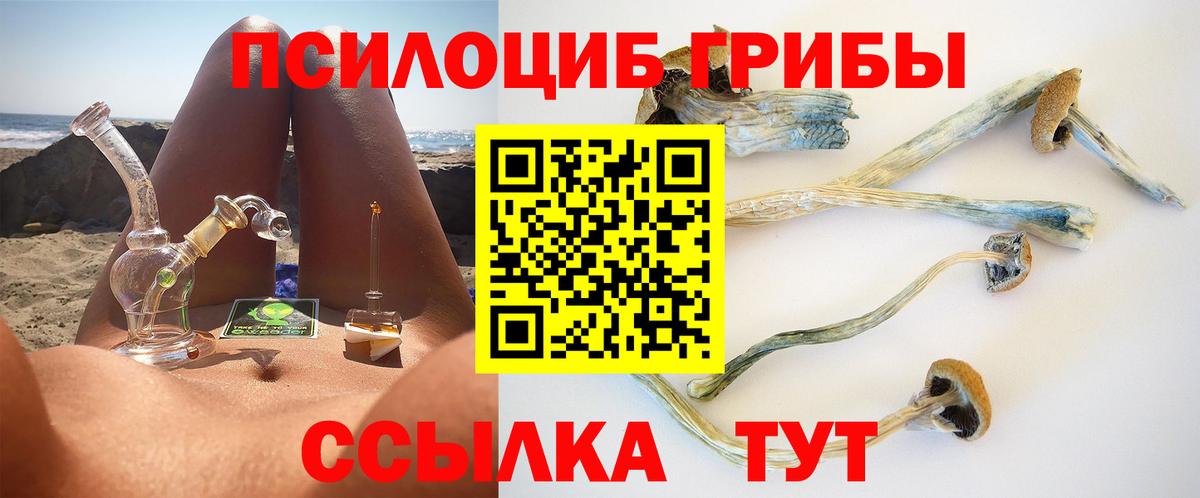 цены наркотик  Вход с VPN  Озёры  Псилоцибиновые грибы мицелий 